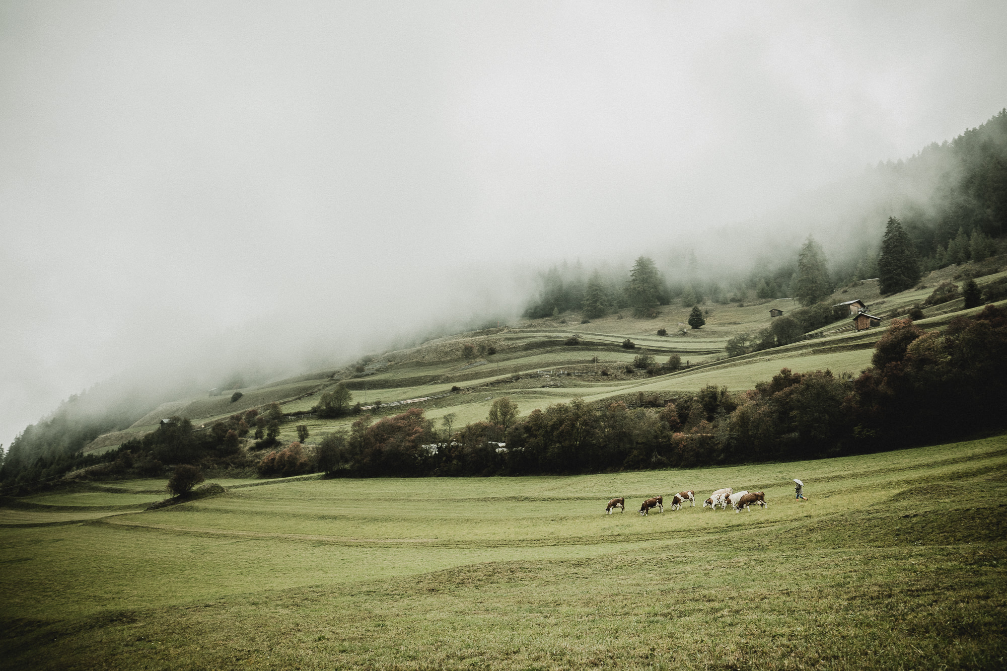 Export x3 5D4 0225 Fotoshooting 2018 Annette & Mike Nauders 2